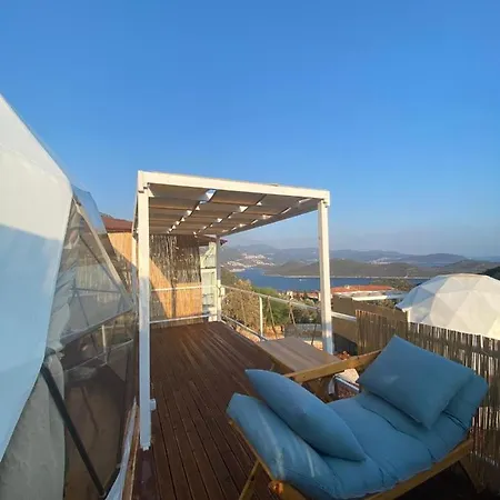 Lilyumdome